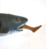 SC Chomp Shark Assorted Designs and Colours