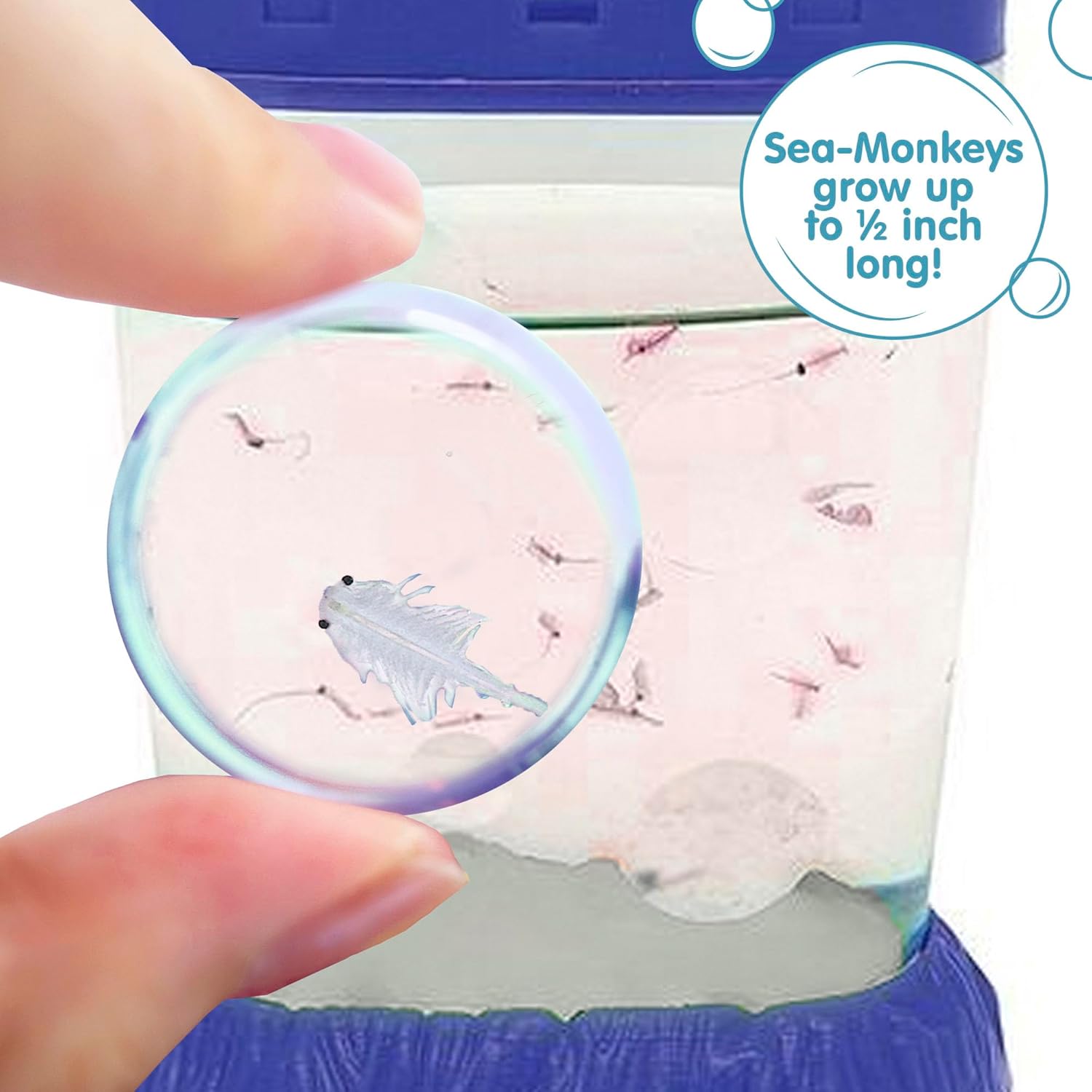 Sea Monkeys Magiquarium Worlds Easiest No Mess Pet Grow Your Own Pet in a Light Up Aquarium Ages 6 and Up One Kit