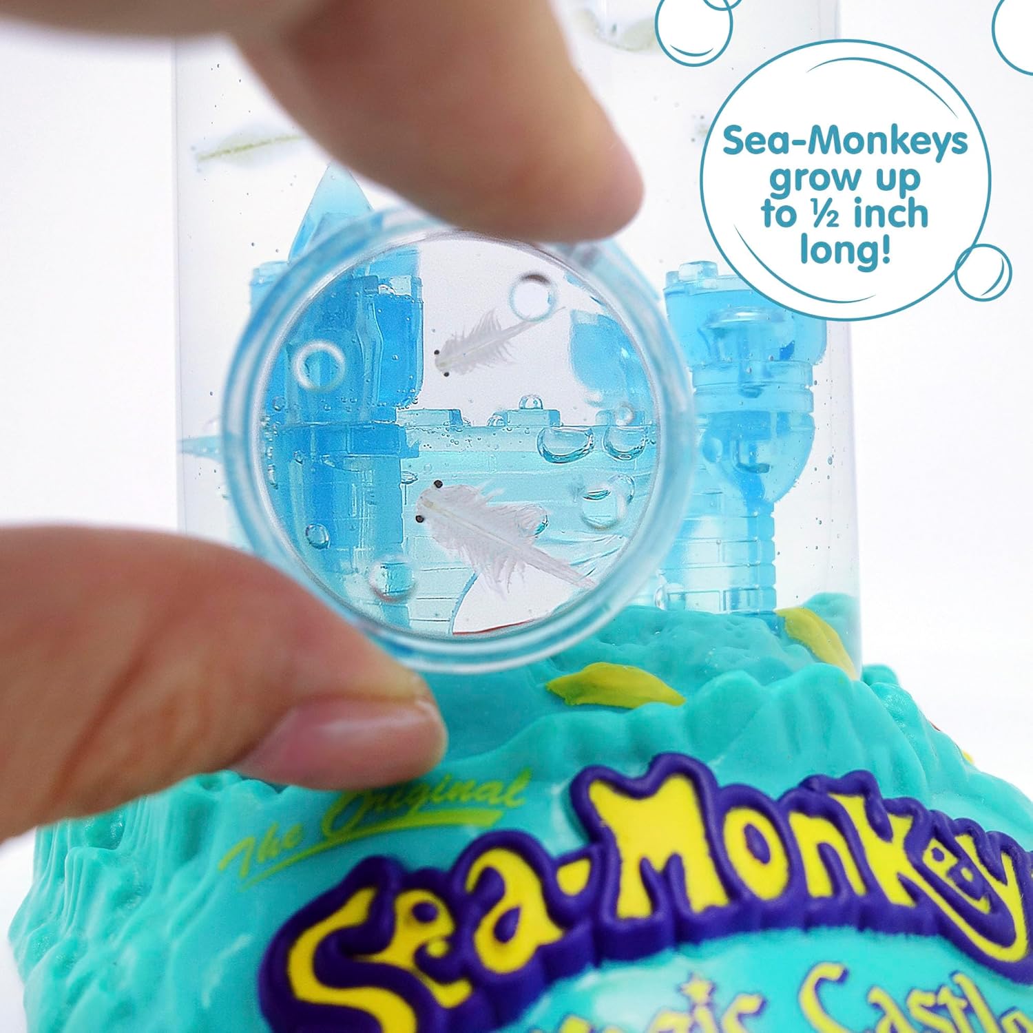 Sea Monkeys Magic Castle Worlds Only Instant Pets Ages 6 Pack of 1
