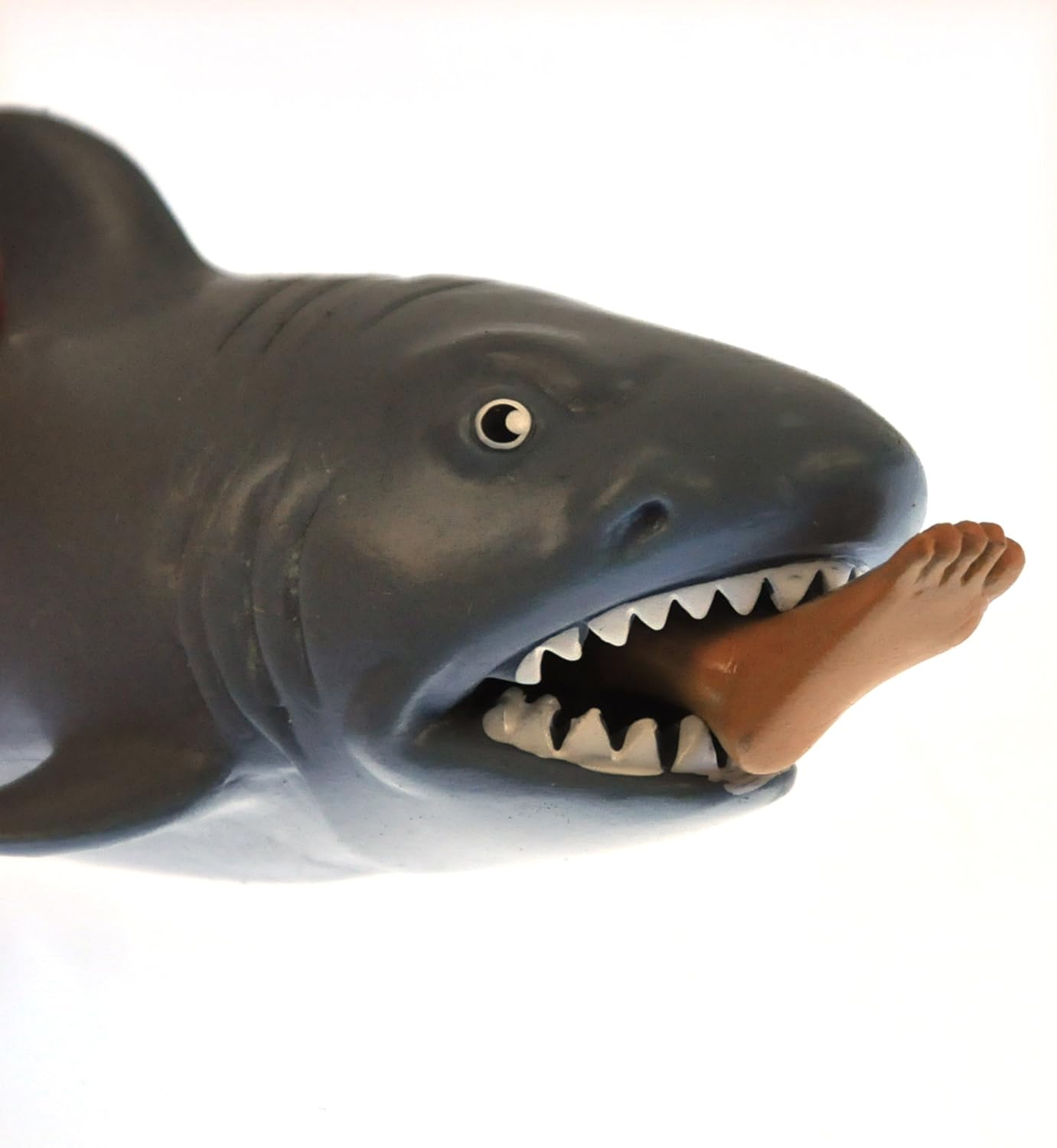 SC Chomp Shark Assorted Designs and Colours