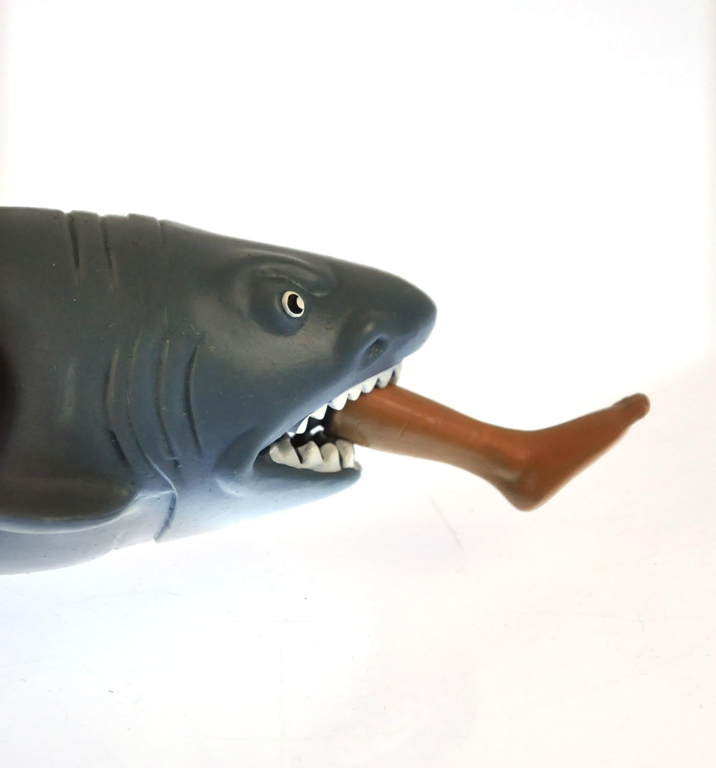 SC Chomp Shark Assorted Designs and Colours